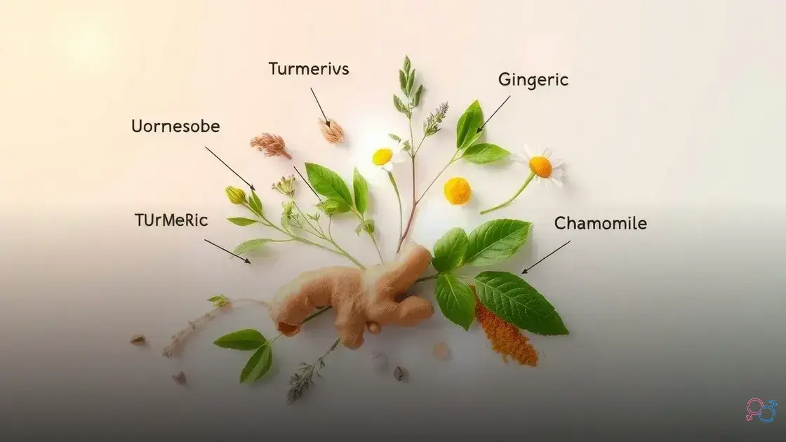 remédio para inflamação íntima